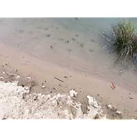 Virginia Beach King Tide image